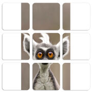 Магнитные фотопазлы 50 на 50 набор 9 штук 