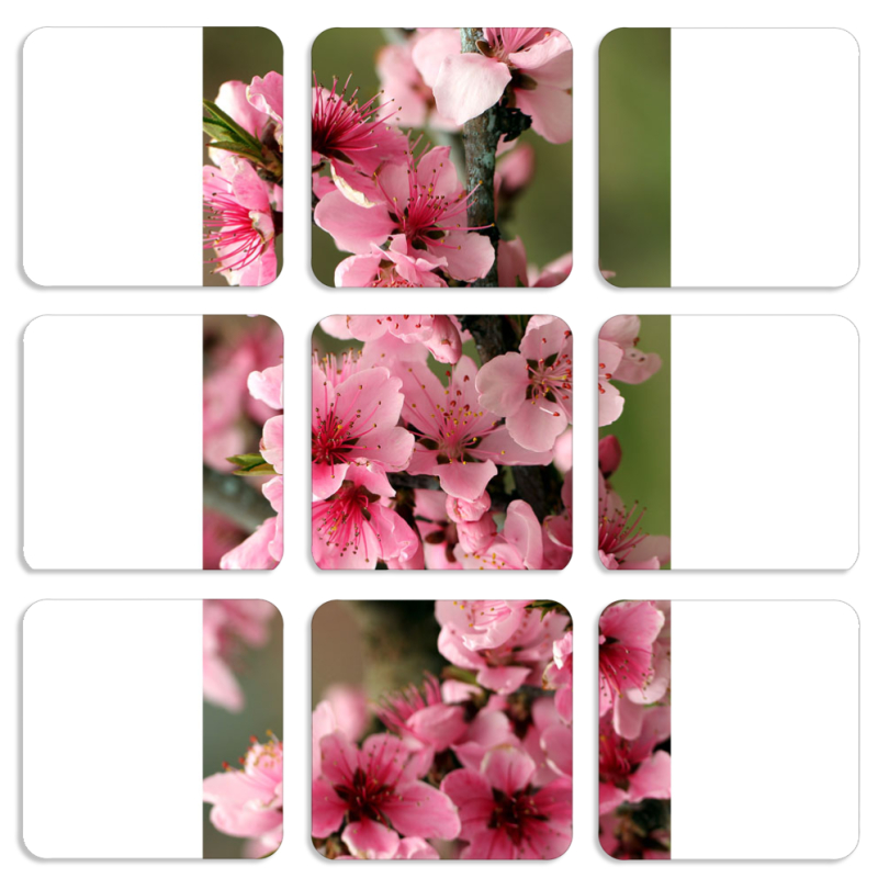 Магнитные фотопазлы 50 на 50 набор 9 штук Вишневые Цветы