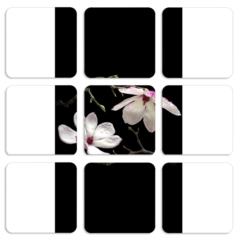 Магнитные фотопазлы 50 на 50 набор 9 штук Ночные Магнолии