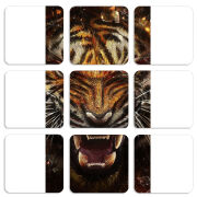 Магнитные фотопазлы 50 на 50 набор 9 штук 