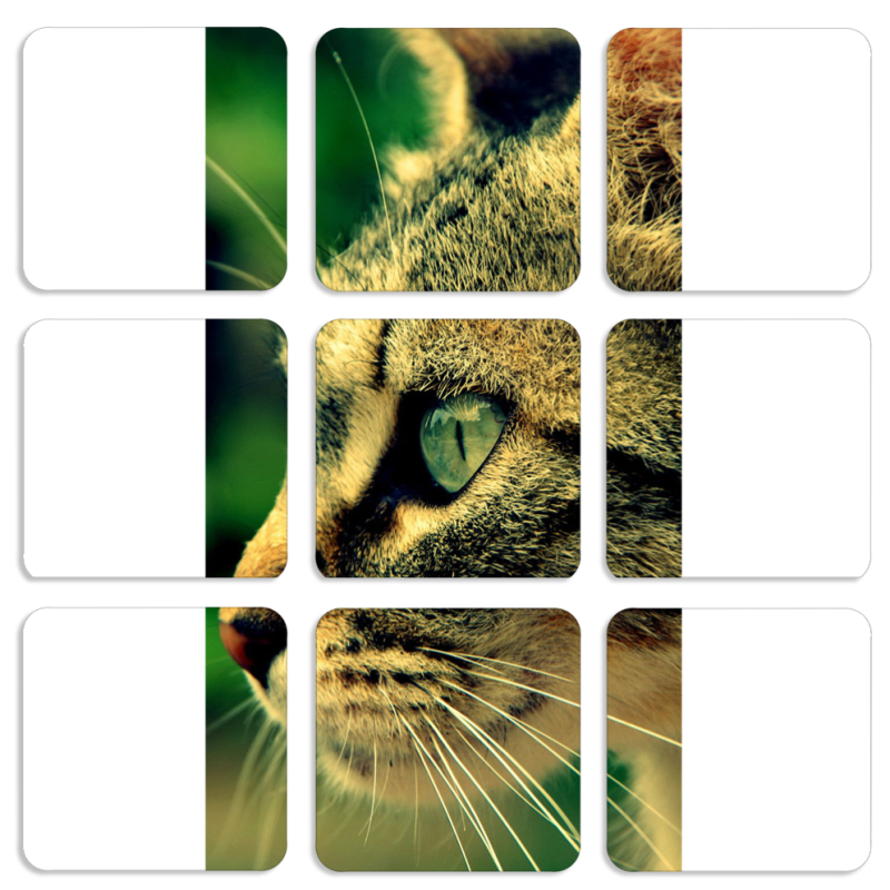 Магнитные фотопазлы 50 на 50 набор 9 штук 