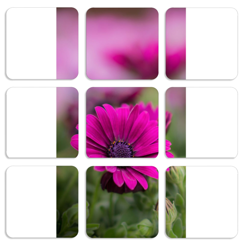 Магнитные фотопазлы 50 на 50 набор 9 штук 