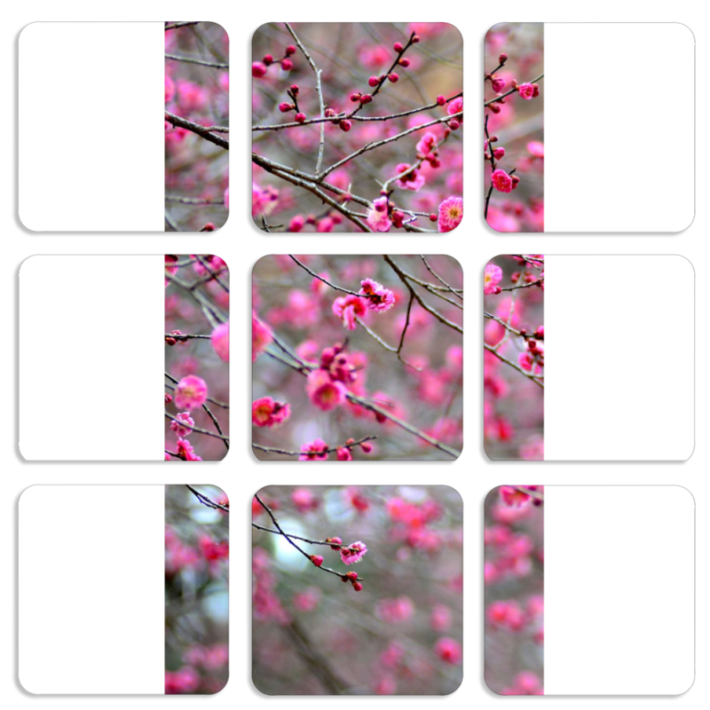 Магнитные фотопазлы 50 на 50 набор 9 штук 