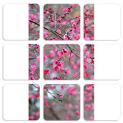 Магнитные фотопазлы 50 на 50 набор 9 штук 