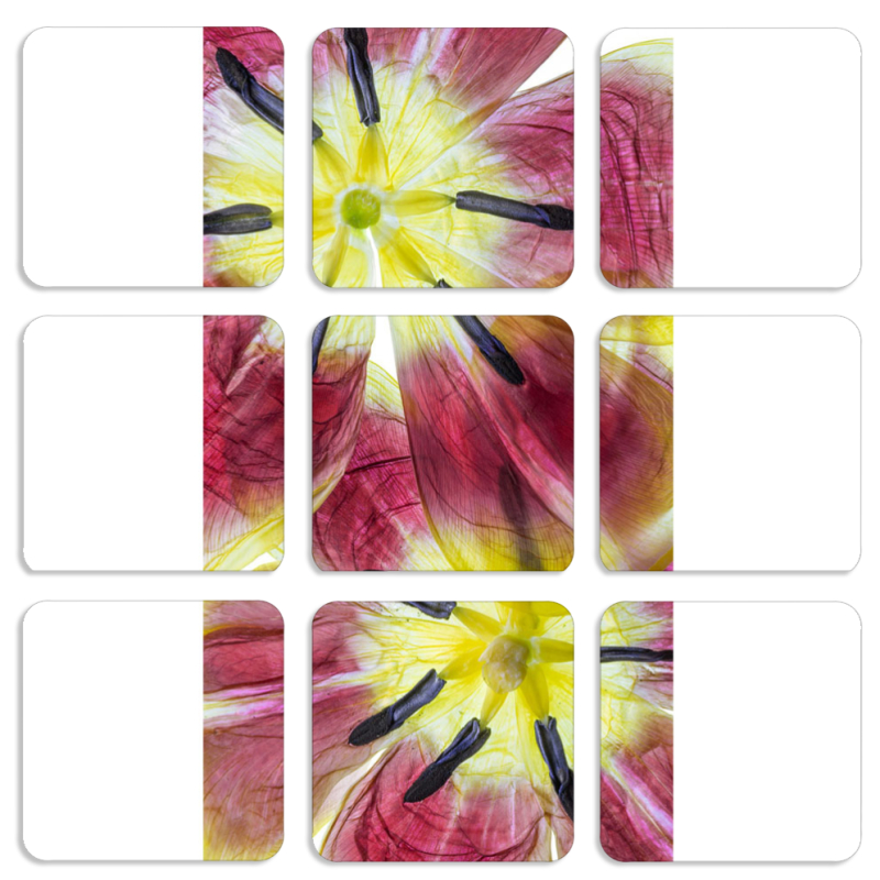 Магнитные фотопазлы 50 на 50 набор 9 штук 