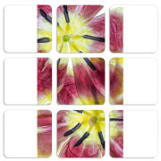 Магнитные фотопазлы 50 на 50 набор 9 штук 