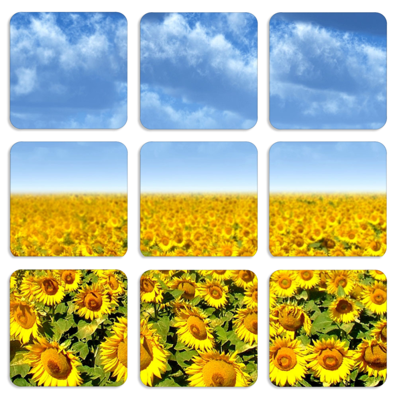 Магнитные фотопазлы 50 на 50 набор 9 штук Подсолнухи