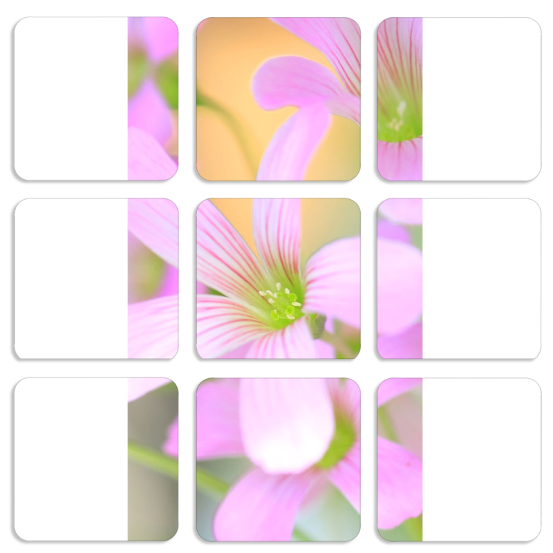 Магнитные фотопазлы 50 на 50 набор 9 штук 