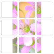 Магнитные фотопазлы 50 на 50 набор 9 штук 