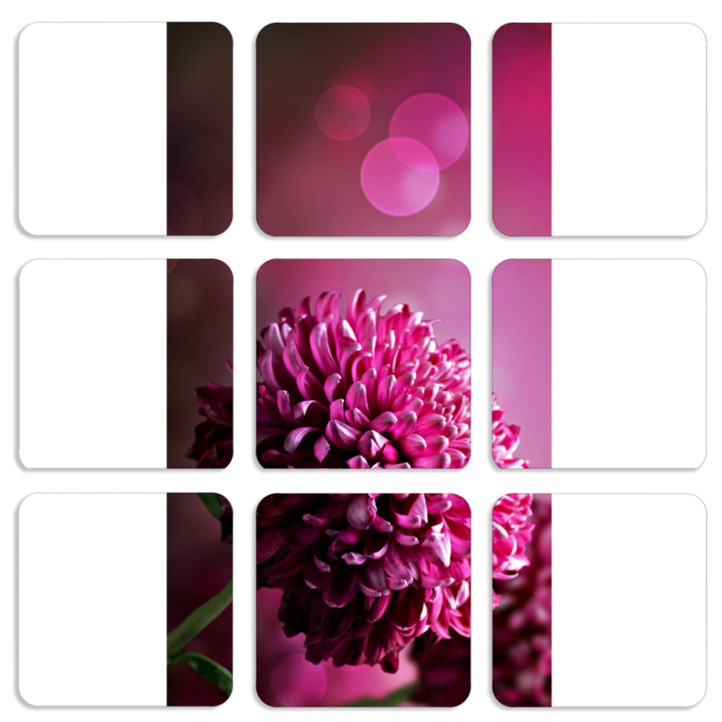 Магнитные фотопазлы 50 на 50 набор 9 штук 