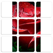 Магнитные фотопазлы 50 на 50 набор 9 штук 