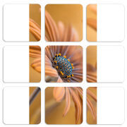 Магнитные фотопазлы 50 на 50 набор 9 штук 