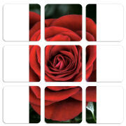 Магнитные фотопазлы 50 на 50 набор 9 штук 