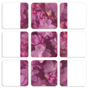 Магнитные фотопазлы 50 на 50 набор 9 штук 