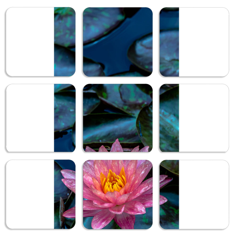 Магнитные фотопазлы 50 на 50 набор 9 штук 