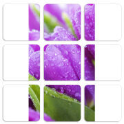 Магнитные фотопазлы 50 на 50 набор 9 штук 