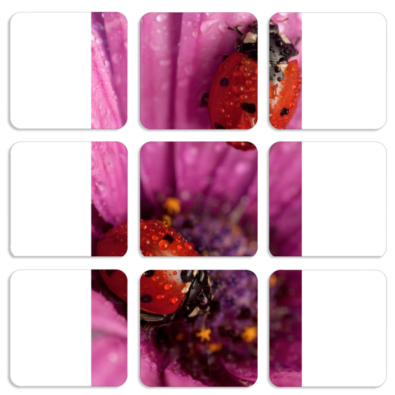 Магнитные фотопазлы 50 на 50 набор 9 штук 