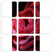 Магнитные фотопазлы 50 на 50 набор 9 штук 