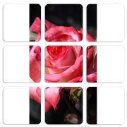 Магнитные фотопазлы 50 на 50 набор 9 штук 