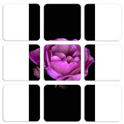 Магнитные фотопазлы 50 на 50 набор 9 штук 