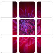 Магнитные фотопазлы 50 на 50 набор 9 штук 