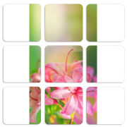 Магнитные фотопазлы 50 на 50 набор 9 штук 