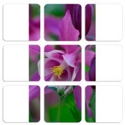 Магнитные фотопазлы 50 на 50 набор 9 штук 