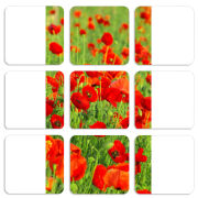 Магнитные фотопазлы 50 на 50 набор 9 штук 