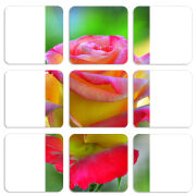 Магнитные фотопазлы 50 на 50 набор 9 штук 