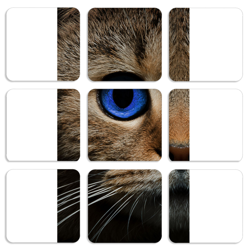 Магнитные фотопазлы 50 на 50 набор 9 штук Cat's Eye