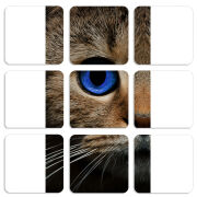 Магнитные фотопазлы 50 на 50 набор 9 штук Cat's Eye