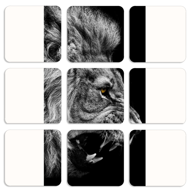 Магнитные фотопазлы 50 на 50 набор 9 штук 