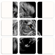 Магнитные фотопазлы 50 на 50 набор 9 штук 