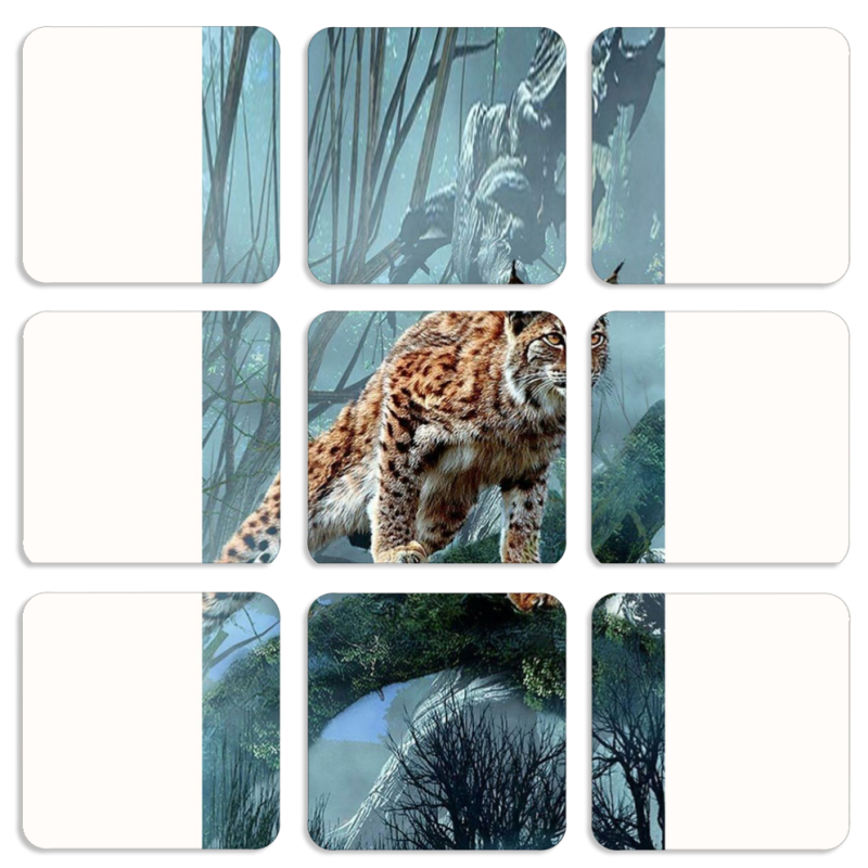 Магнитные фотопазлы 50 на 50 набор 9 штук 