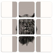 Магнитные фотопазлы 50 на 50 набор 9 штук 