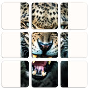 Магнитные фотопазлы 50 на 50 набор 9 штук 