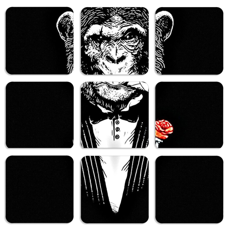 Магнитные фотопазлы 50 на 50 набор 9 штук Monkey Don