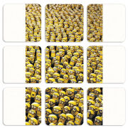 Магнитные фотопазлы 50 на 50 набор 9 штук 