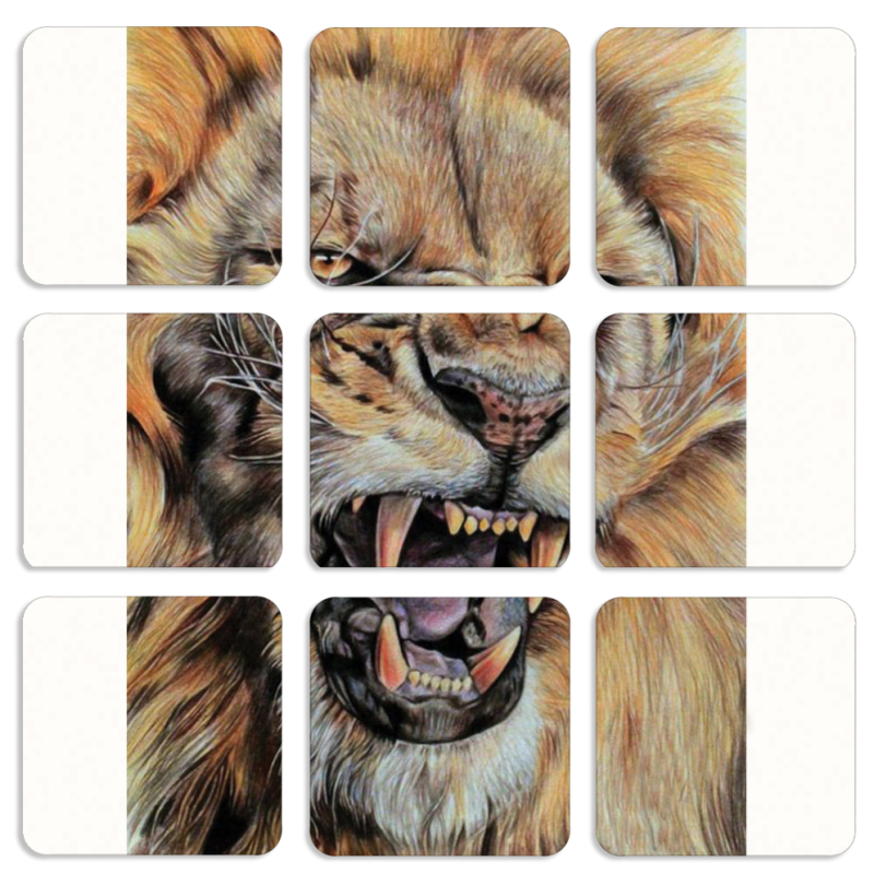 Магнитные фотопазлы 50 на 50 набор 9 штук 