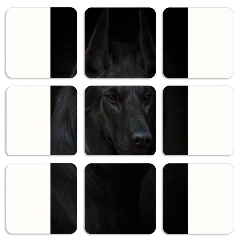 Магнитные фотопазлы 50 на 50 набор 9 штук 