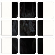 Магнитные фотопазлы 50 на 50 набор 9 штук 