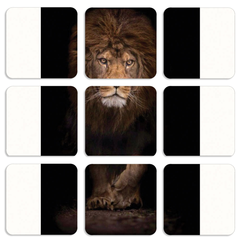 Магнитные фотопазлы 50 на 50 набор 9 штук 