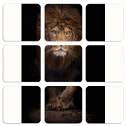 Магнитные фотопазлы 50 на 50 набор 9 штук 