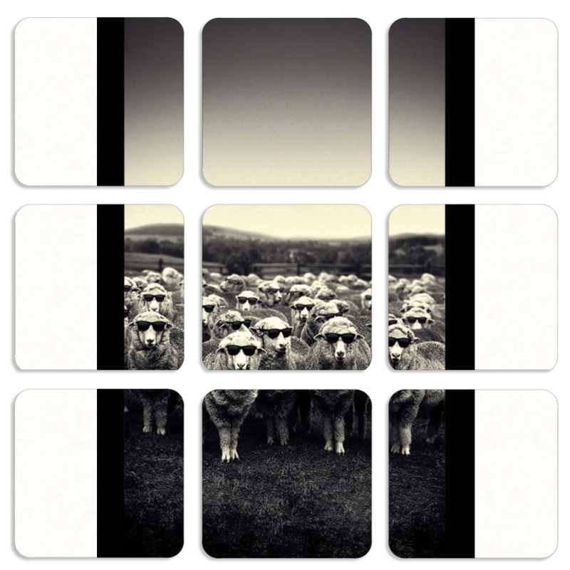 Магнитные фотопазлы 50 на 50 набор 9 штук 