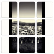 Магнитные фотопазлы 50 на 50 набор 9 штук 
