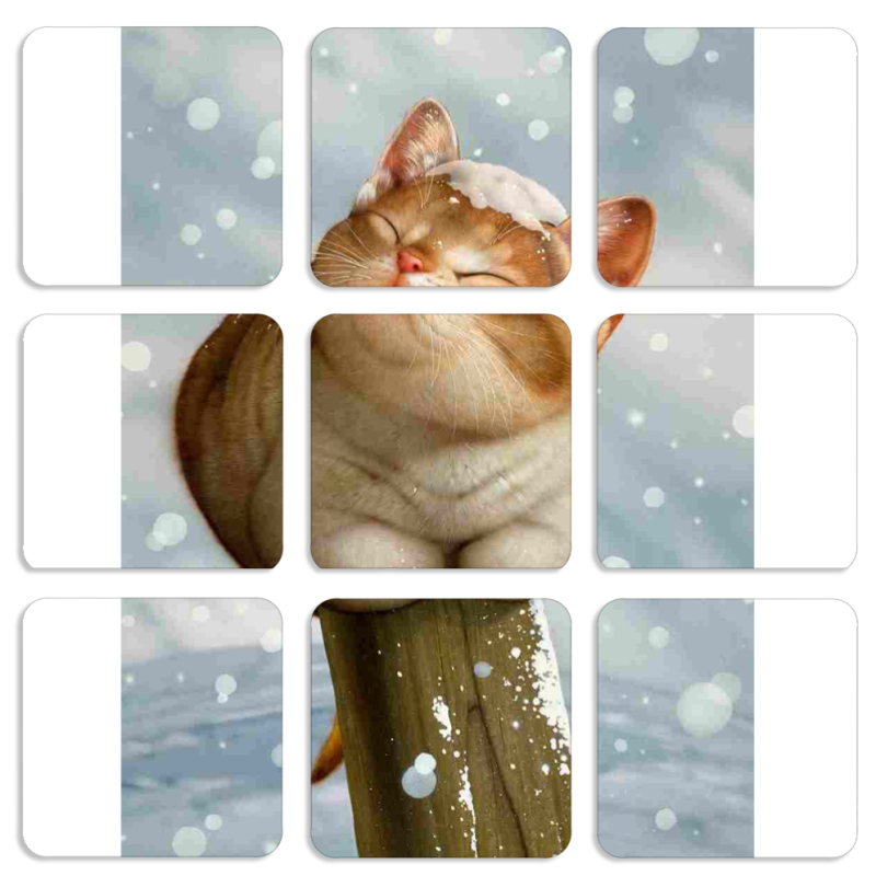 Магнитные фотопазлы 50 на 50 набор 9 штук 