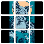 Магнитные фотопазлы 50 на 50 набор 9 штук 