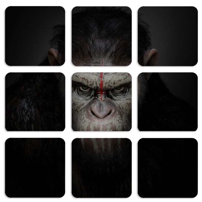 Магнитные фотопазлы 50 на 50 набор 9 штук 