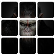 Магнитные фотопазлы 50 на 50 набор 9 штук 