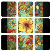 Магнитные фотопазлы 50 на 50 набор 9 штук 